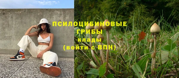 твердый Пестово
