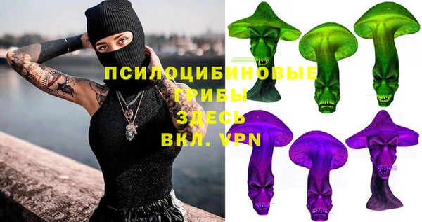 прущая мука Переславль-Залесский
