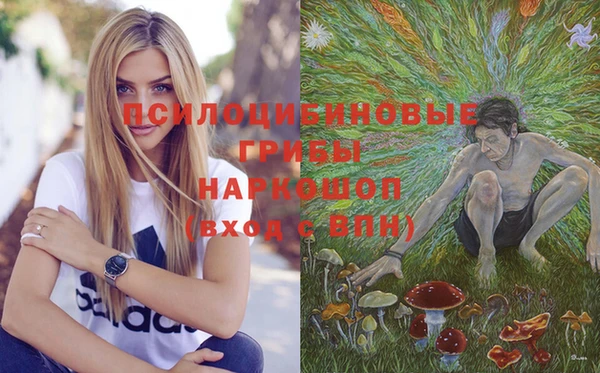 прущая мука Переславль-Залесский