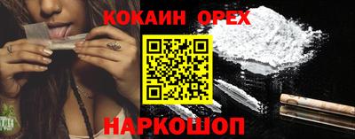 спиды Бийск