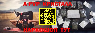 ECSTASY Гагарин