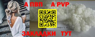 спиды Бийск