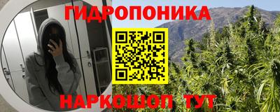 гашишное масло Берёзовский