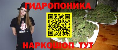 спиды Бийск
