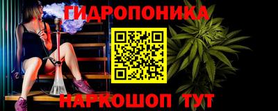 спиды Бийск