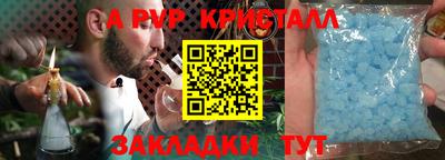 спиды Бийск