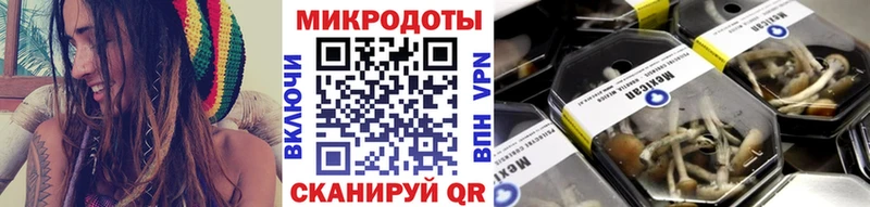Псилоцибиновые грибы Magic Shrooms Вязьма