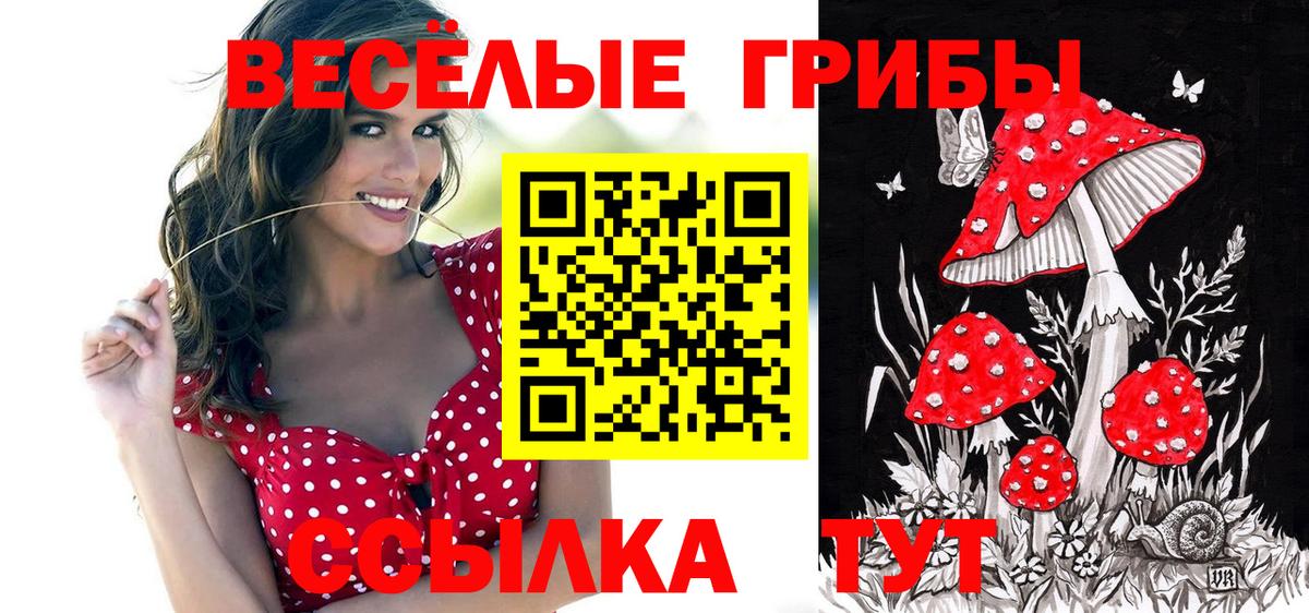 Псилоцибиновые грибы ЛСД  Псилоцибиновые грибы Psilocybe  Вязьма 