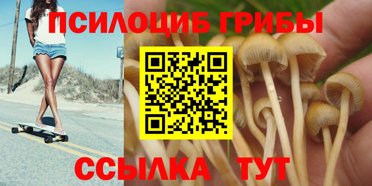Галлюциногенные грибы Magic Shrooms Вязьма