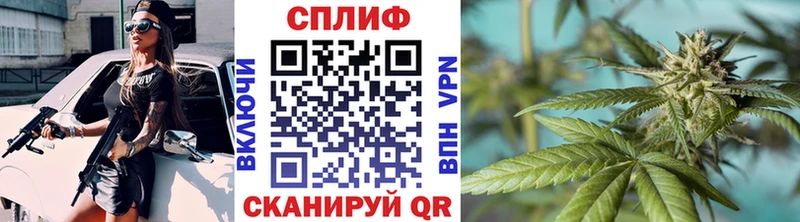 Каннабис ГИДРОПОН  даркнет наркотические препараты  Вязьма 